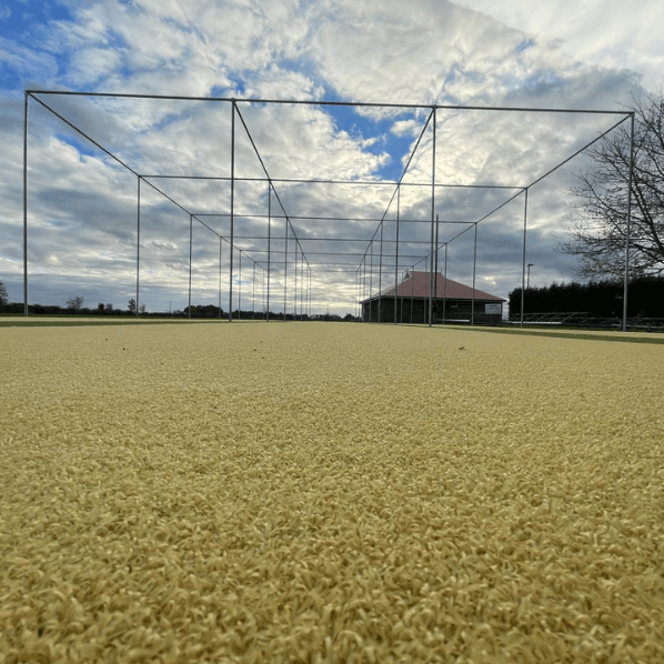 Cricket Carpet